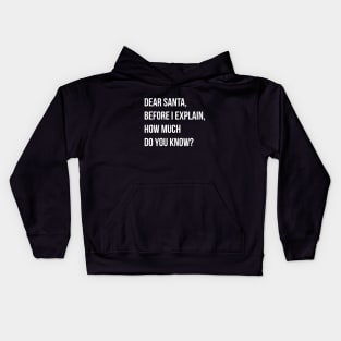 DEAR SANTA BEFORE I EXPLAIN HOW MUCH DO YOU KNOW Kids Hoodie